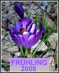 Fruehling2008