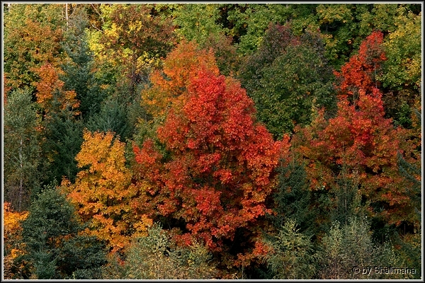 ../Images/landschaftd.jpg