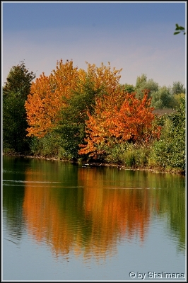 ../Images/landschafti.jpg