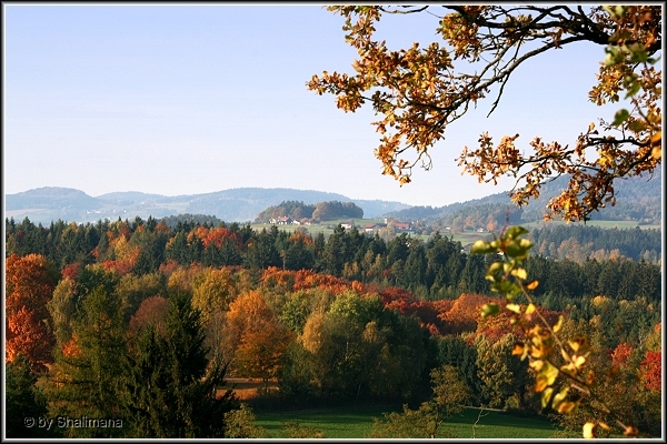 ../Images/landschafts.jpg