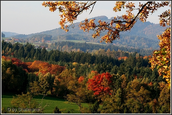 ../Images/landschaftt.jpg