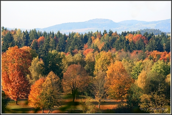 ../Images/landschaftu.jpg