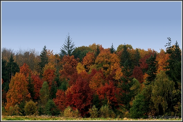 ../Images/landschaftw.jpg