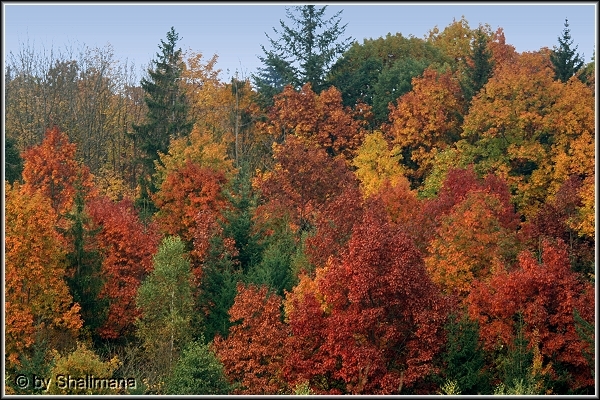 ../Images/landschaftzb.jpg