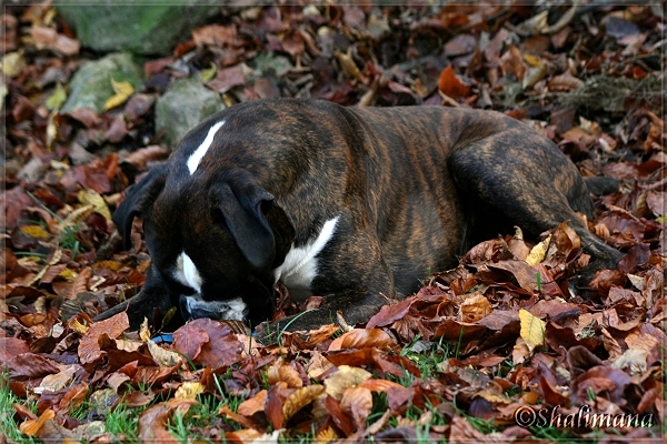 ../Images/herbstb.jpg