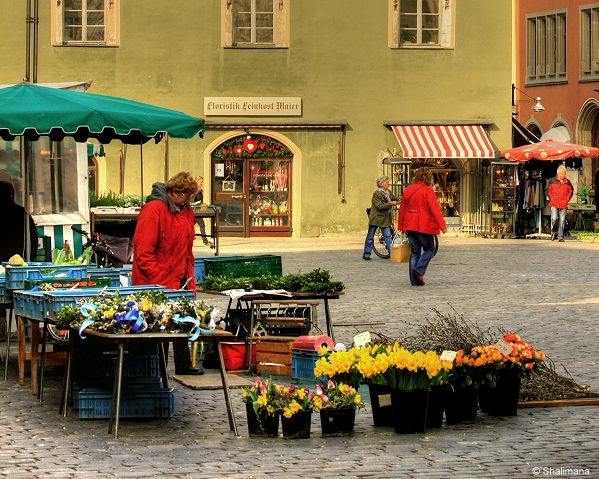 ../Images/straubing-29-3-11-a.jpg