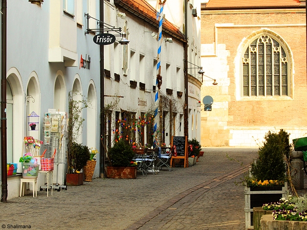 ../Images/straubing-29-3-11-l.jpg