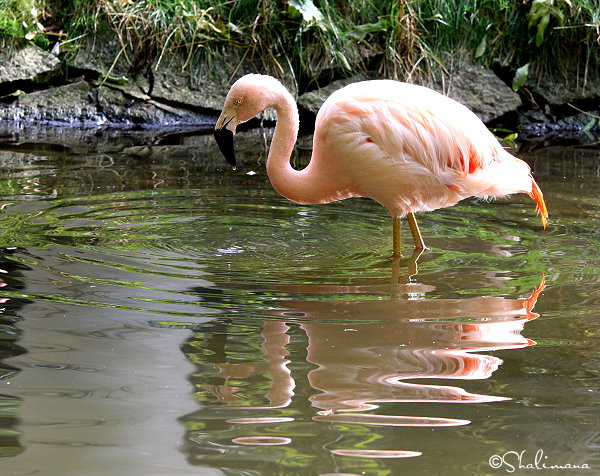 ../Images/zoo-str-16-9-10-x.jpg