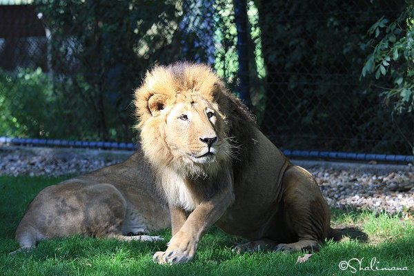 ../Images/zoo-str-16-9-10-za.jpg