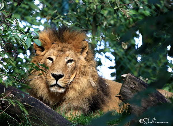 ../Images/zoo-str-16-9-10-zg.jpg