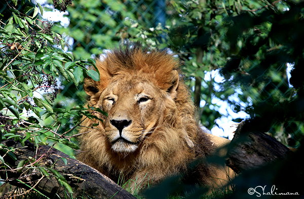 ../Images/zoo-str-16-9-10-zl.jpg